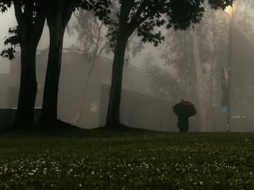 An early October morning at UC San Diego. 🍂 📹: @miuynh ID: Short clips of various spots around the UC San Diego campus. #UGC #UCSD #UCSanDiego #Cinematic #Videography