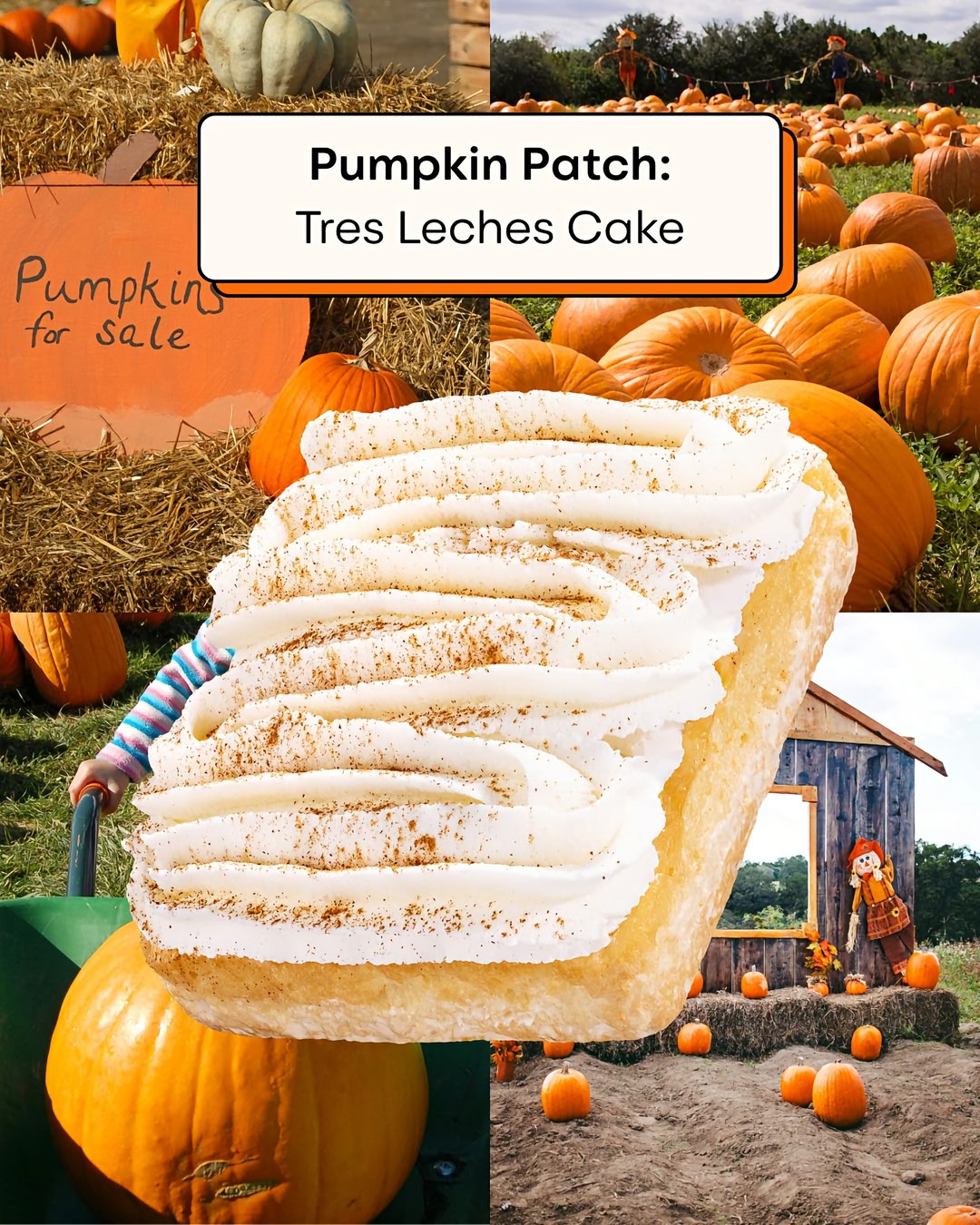 It's spooky season. 👻🎃 Which fall activity are you choosing? Swipe for a little clue about some sweet deals coming to you...🤫#Crumbl