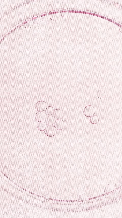 Our lab in Gidy, France — where Vine Resveratrol, Pro-Collagen Grape Multi-Peptides, and Micro-Hyaluronic Acids come together to make Resveratrol-Lift.