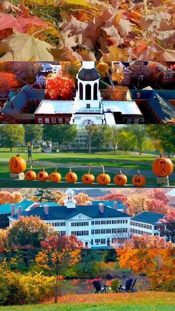 not to be dramatic, but fall on campus >>> 🎥: Mike Murray
