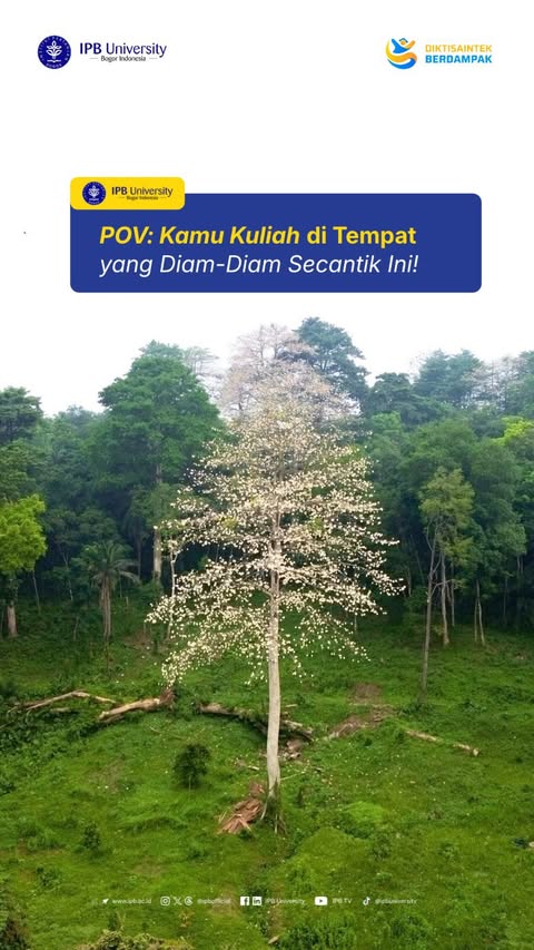 #IPBCampusLife POV: Kamu Kuliah di Tempat yang Diam-Diam Secantik Ini ✨ Bayangin, kamu kuliah di tempat yang suasananya super nyaman, mendukung kamu buat belajar dengan nyaman? Auto betah di kampus seharian deh! IPBNe…