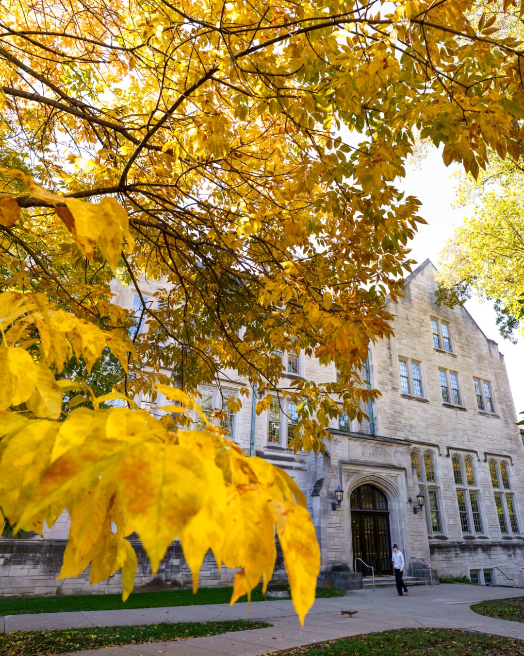 #2 most beautiful campus btw