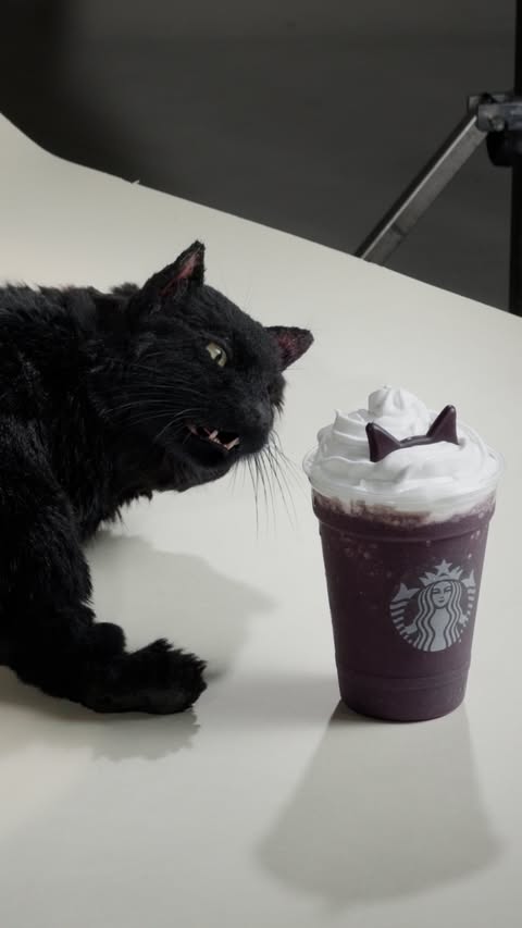 wait till @sabrinateenagewitch hears about this. Black Cat Frappuccino® now available.