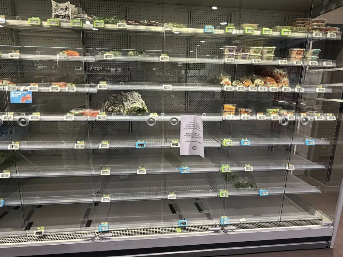 Het Cyber-incident bij Albert Heijn blijkt een hack(poging) te zijn geweest. Vanwege verdacht verkeer werden vitale systemen preventief uitgezet. Dat veroorzaakt ‘dystopische’ lege schappen maar dankzij die ingreep li…