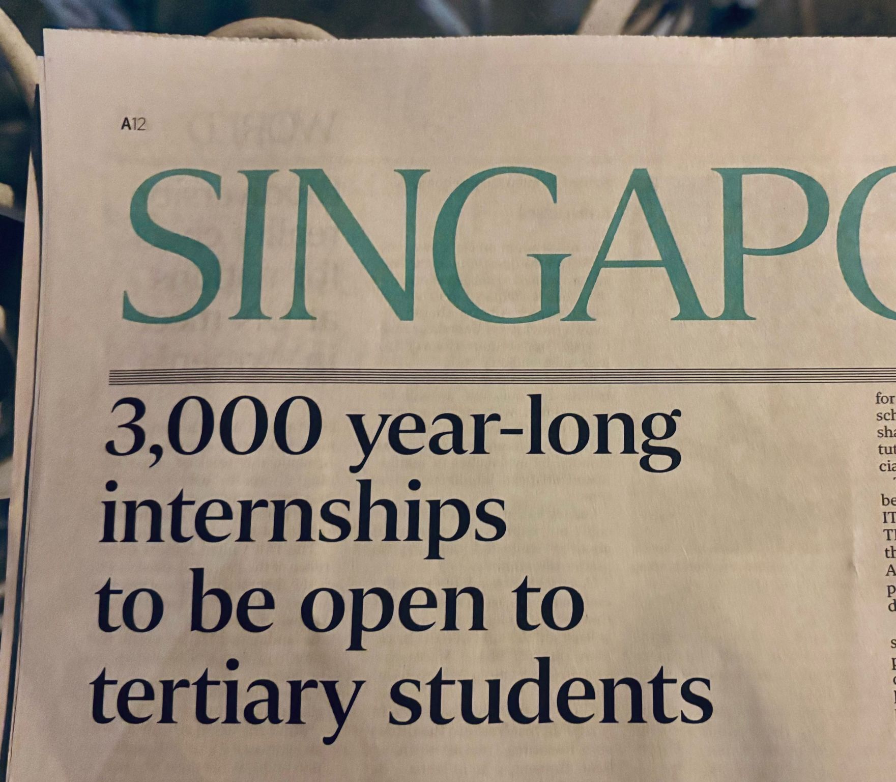 We take our internships seriously in Singapore, but this does seem a little long to me