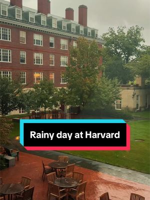 Rainy day moments ☔️ #Harvard #HarvardUniversity #Rain #Fall #Campus