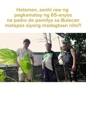 Halaman, sanhi raw ng pagkamatay ng 65-anyos na padre de pamilya sa Bulacan matapos siyang madagtaan nito?! #KMJS | Kapuso Mo, Jessica Soho