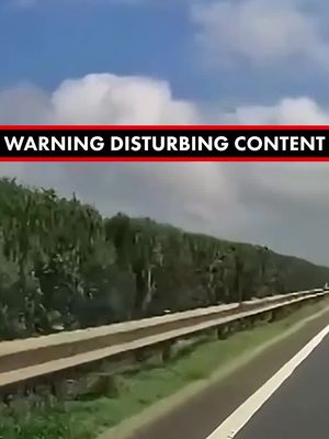 A mother and child survived after they were thrown from an SUV that slammed into a guardrail and spun violently across a highway in China. Dashcam video shows the driver suddenly swerving to avoid a plastic board on t…