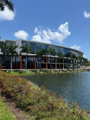 Friday’s forecast: 100% nostalgia 🥲 #umiami #universityofmiami #flashbackfriday @UM Admission