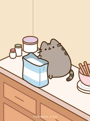 gravity test ✨ #Pusheen #fyp #catsoftiktok