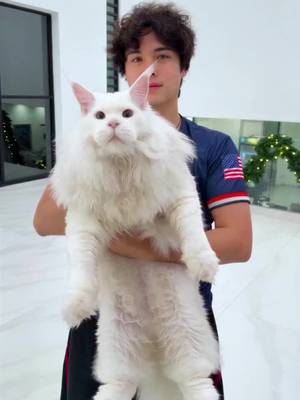 World’s Rarest Cat