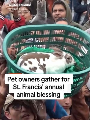Pet owners and their animals gathered in cities from Quito to New York and Tegucigalpa for annual St. Francis of Assisi celebrations, with clergy offering blessings in honor of the patron saint of animals. ⠀ #pets #an…