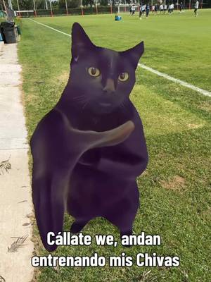 Este we 🤣