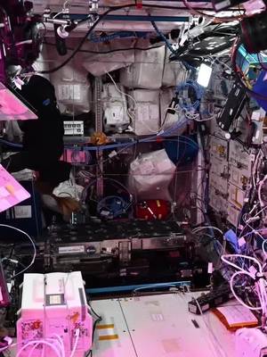 Ever wondered what it’s like living aboard the ISS? 👀 As Sophie Adenot wraps up her space adventure, here’s a little behind the scenes with the French ESA astronaut we’ve been following throughout her journey. This w…