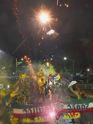 ¡110 años de alentar al más grande! 🦅💛 #clubamerica #TikTokDeportes