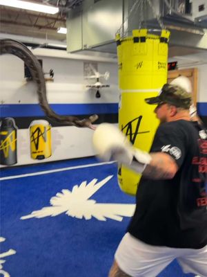 Reaction test Vs 15ft Python