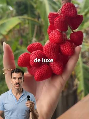 Le business tendance du moment que tu peux faire chez toi avec du savon et trois fois rien #business #entrepreneuriat #ideedebusiness #savonfaitmaison #businessfacile