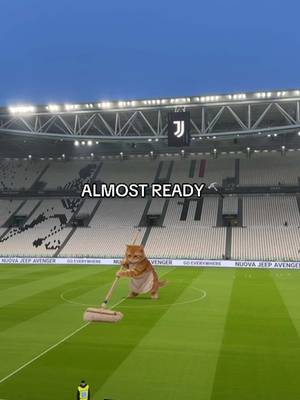 our workers are preparing the stadium 👷‍♂️ #juventus #allianzstadium #footballtiktok #filter #cats