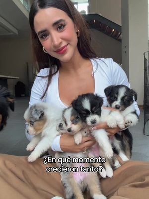 Ya son gigantes los cuyeyitos 😅 (Insta Tammy.parra)