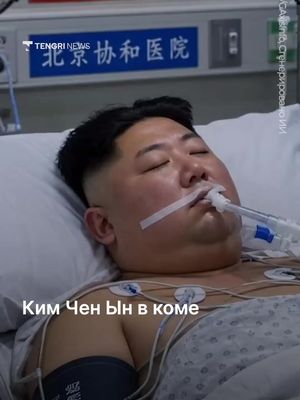 В соцсетях распространились слухи, что Ким Чен Ын перенёс кровоизлияние в мозг, впал в кому и был срочно доставлен в Пекин на лечение. Однако никаких доказательств этим заявлениям не представили. Слухи начали распрост…