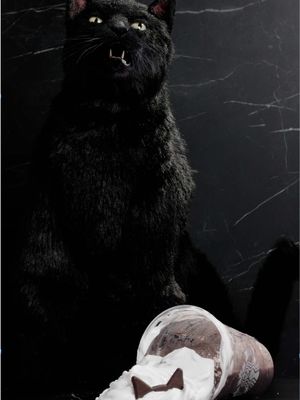 @SabrinaTeenageWitch, come get your cat. everyone else, see you tomorrow. Stream Sabrina the Teenage Witch on @Paramount+ and @Pluto TV