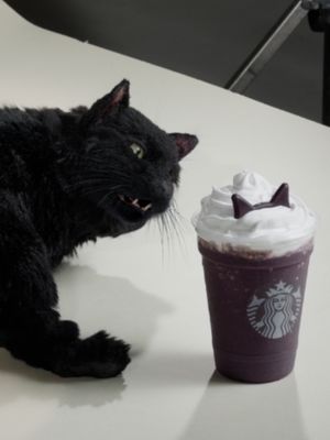 wait till @sabrinateenagewitch hears about this. Black Cat Frappuccino® now available.
