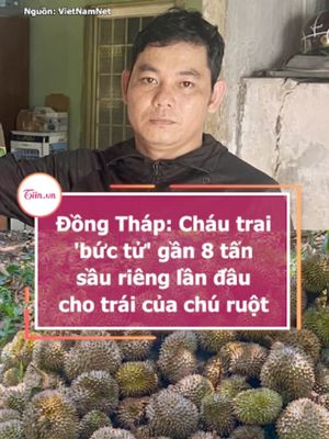 Đồng Tháp: Cháu trai 'bức tử' gần 8 tấn sầu riêng lần đầu cho trái của chú ruột #tiinnews #dongthap