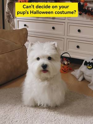 🪄Halloween looks incoming.🎃🐶 With a little help from PC-level WPS Office, let the wheel decide your pup's spooky style! Which look gets your paw of approval? #HUAWEIMatePad Pro 12" #SpookySeason #Halloween