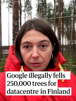 Before Google’s arrival a few months ago, an estimated quarter of a million trees occupied the 330 hectares (815 acres) of forest near the town of Muhos in rural northern Finland. Now they are all gone. The news that …