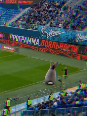 #Zenit