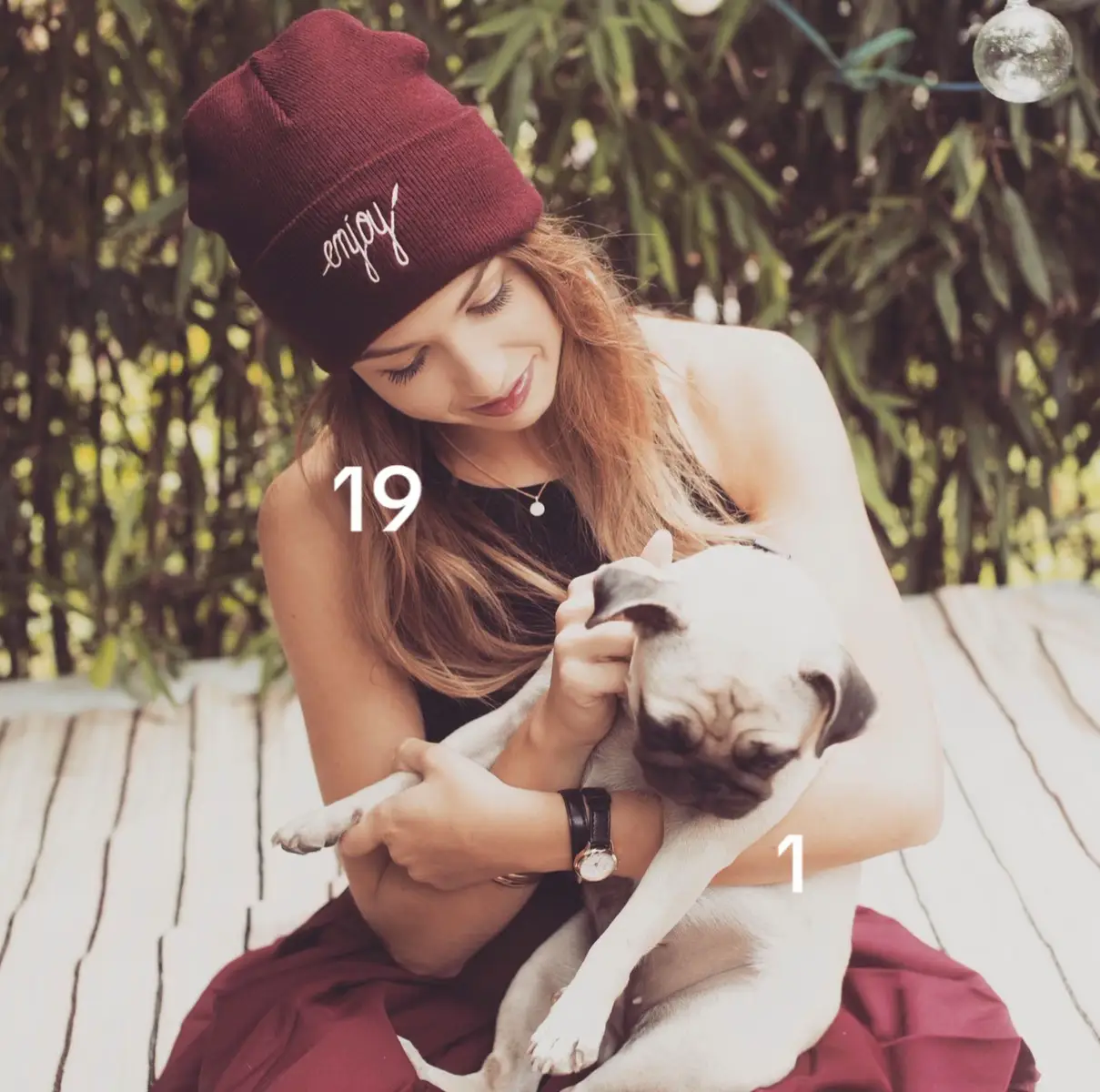 🐶✨🫂