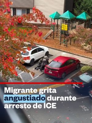 Un hombre gritó desesperadamente mientras era detenido por presuntos agentes de ICE en un complejo de apartamentos de Mill Creek, en el estado de Washington. El arresto quedó registrado en un video que circula en rede…