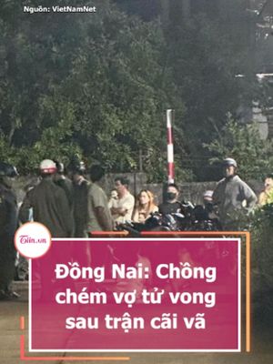 Đồng Nai: Chồng chém vợ tử vong sau trận cãi vã #tiinnews #dongnai