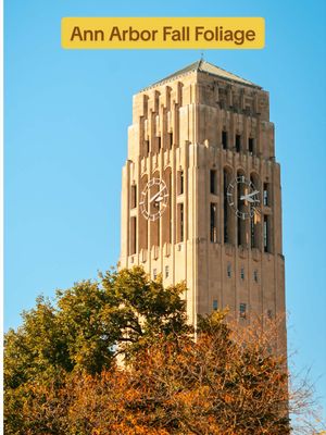 Fall foliage in Ann Arbor is peak 🍂 #UofM #UMich #Michigan #Fall #CampusLife