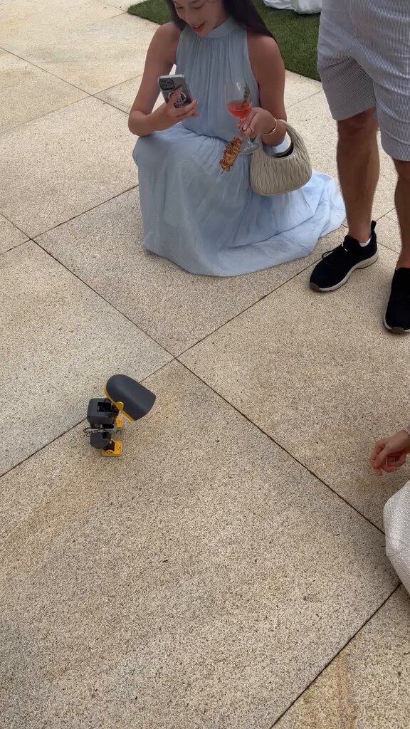 microduck's first BBQ. made a lot of friends. did not eat anything. https://t.co/6xAraGEBCo