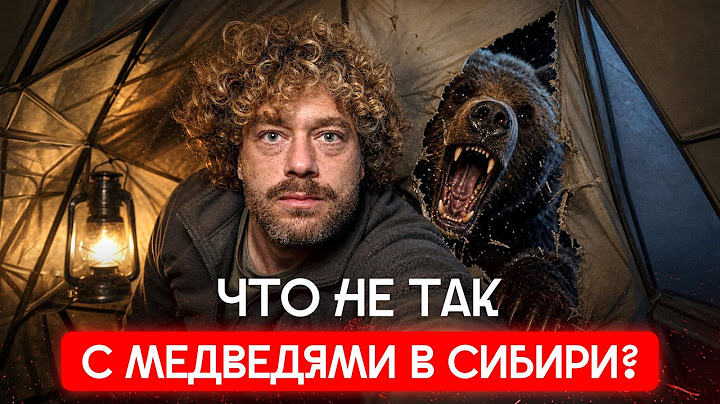 Медведи массово нападают на россиян | Новости из Сибири, связь с Китаем, опыт Канады и Финляндии