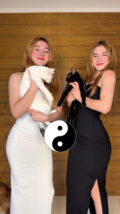 Introducing our fur babies: Asta and Killua 🤍🖤 #cats #cat #pets