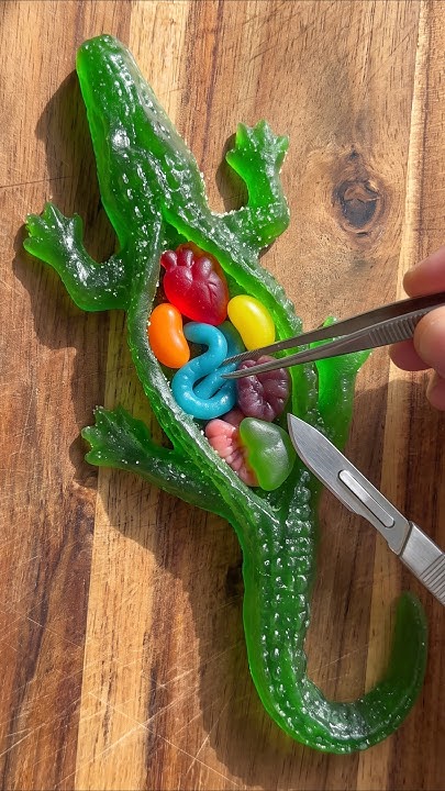 How to Clean a Gummy Gator