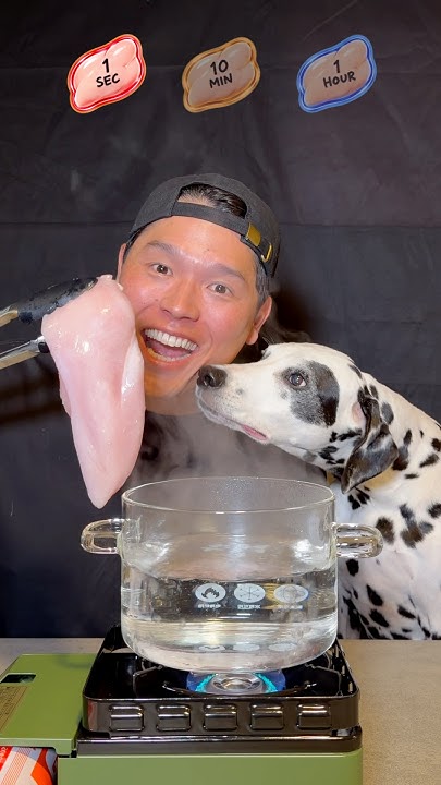 1 Second vs 1 Hour Boiled Chicken! ft. Dalmatian