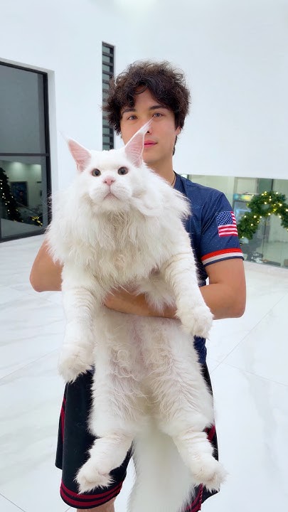 Surprising My Brother With The World’s Rarest Cat