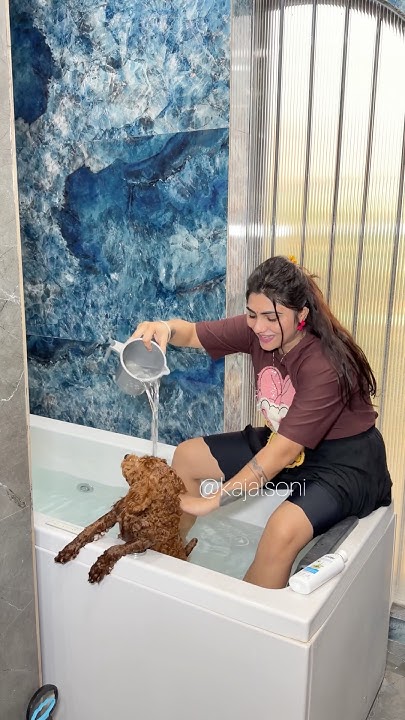 Cash enjoyed his bath🐶😂 #shorts #youtubeshorts #viralshorts @Kajalsoni_vlogs