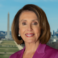 Nancy Pelosi, Democratic Party